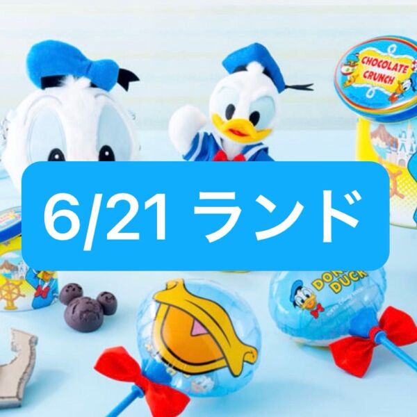 【ディズニーランド】6/21入園済チケット オンライングッズ購入用