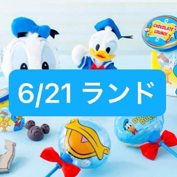 【ディズニーランド】6/21入園済チケット オンライングッズ購入用