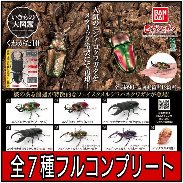 【新品】いきもの大図鑑 くわがた10 全7種フルコンプリート