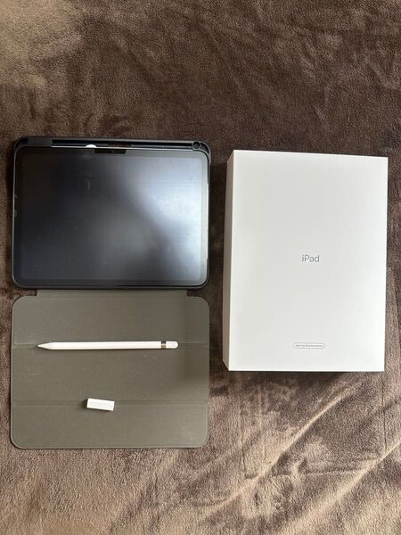 iPad Wi-Fi SIMフリー