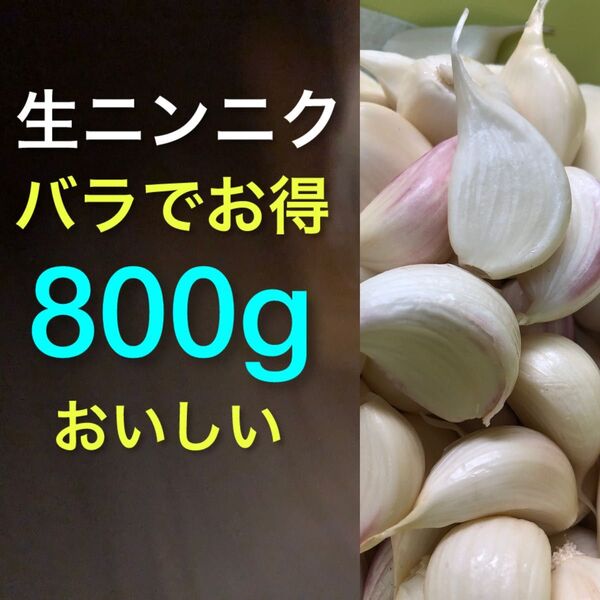 新鮮!生ニンニク 新ニンニクバラでお得 800g Lサイズ中心で食べ応えあり