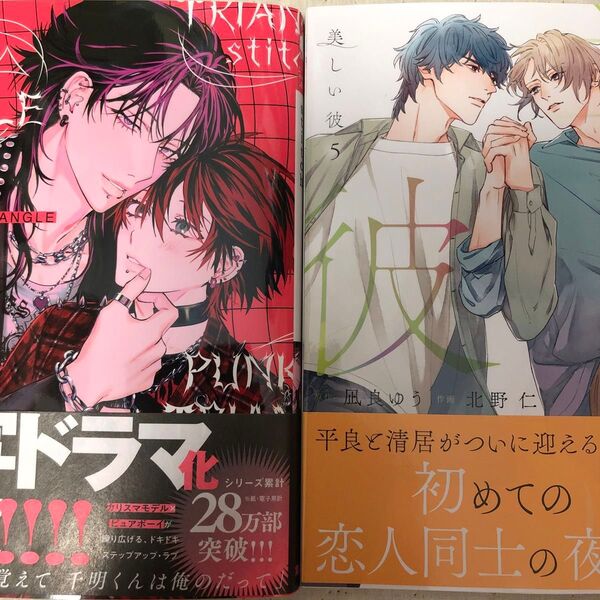 沖田有帆 PUNKSATRIANGLE stitch1 北野仁 凪良ゆう 美しい彼5