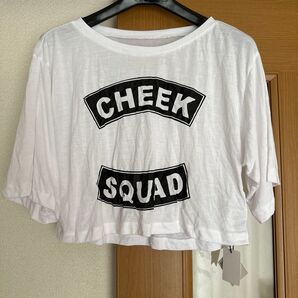〇タグ付き〇新品未使用品スライTシャツ ホワイト