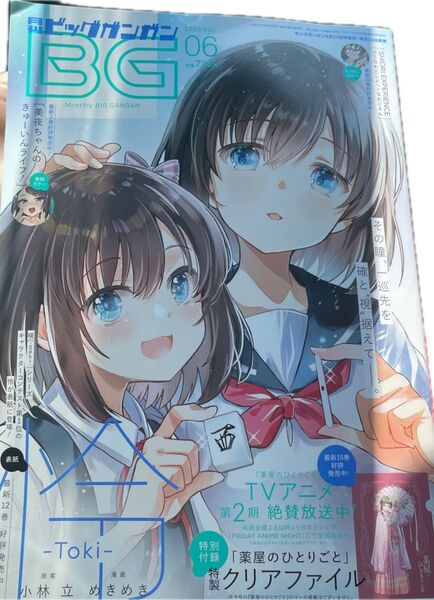 月刊ビッグガンガン 2025 6月号 付録なし