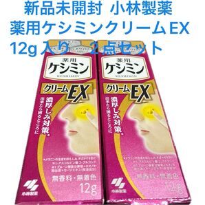 新品未開封 小林製薬薬用ケシミン クリームEX 無香料・無着色 12g 2点セット