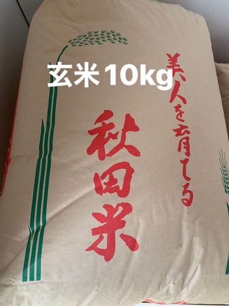 令和6年度秋田県産あきたこまち 玄米10kg