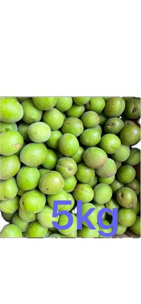 お得!訳アリ青梅5kg 無農薬