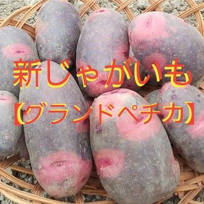 新じゃがいも【グランドペチカ】農薬不使用