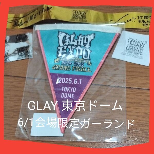 ※説明必読!価格相談不可!GLAY 東京ドーム 6/1 会場限定 ガーランド .TERU.TAKURO.HISASHI.JIRO