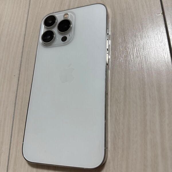 iPhone13pro