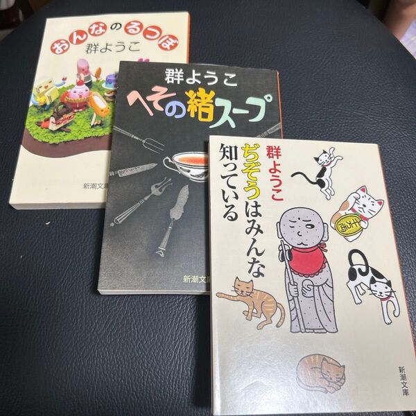 3冊セット!へその緒スープ・おんなのるつぼ・ぢぞうはみんな知っている (新潮文庫) 群ようこ/著
