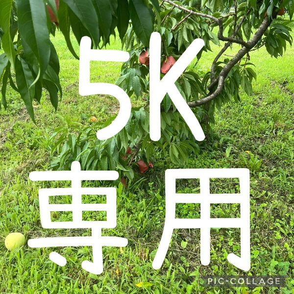 24.摘果桃 5kg