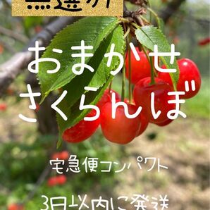 1.おまかせ さくらんぼ 山梨県産