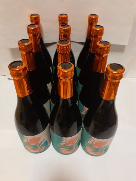 【限定品 2025新酒】プレミアム焼酎 フラミンゴオレンジ 720ml 12本セット