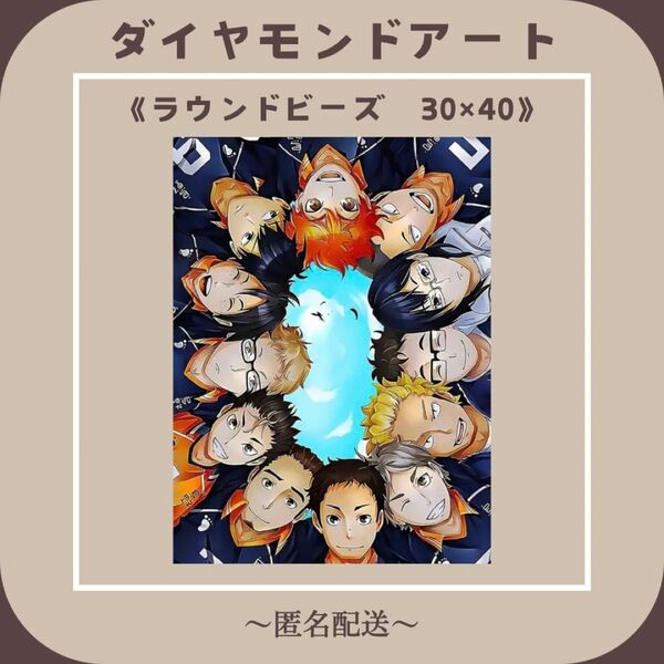 【ダイヤモンドアート】 ビーズアート ラウンドビーズ 30×40 ハイキュー!! 風