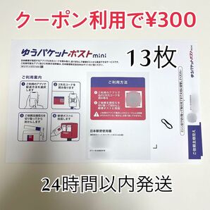 ゆうパケットポストmini 専用封筒 13枚 折り曲げ ヘアゴム1本