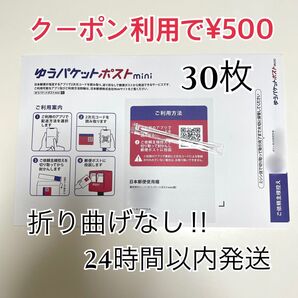ゆうパケットポストmini 専用封筒 30枚 折り曲げなし 個包装綿棒1本