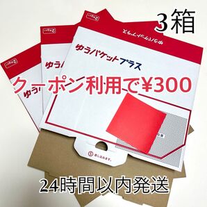 ゆうパケットプラス 専用箱 3箱 おりがみ1枚