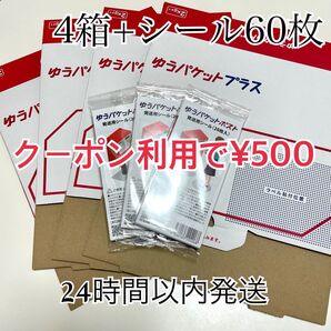 ゆうパケットプラス 4箱 ゆうパケットポストシール 60枚 ヘアゴム1本