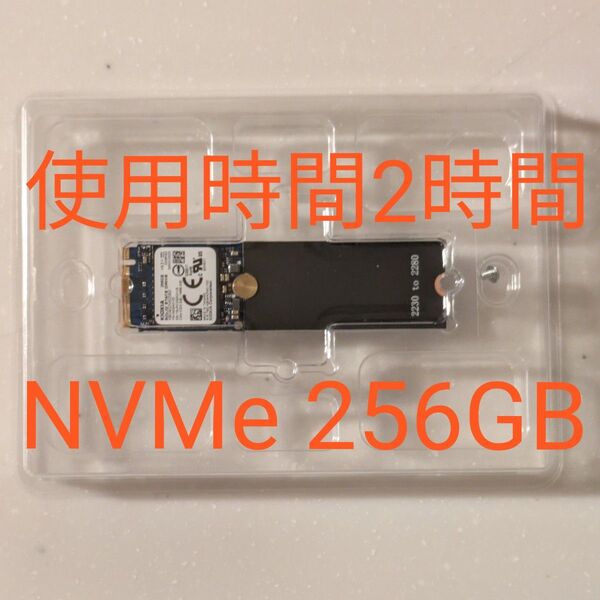 KIOXIA M.2 NVMe SSD 256GB KBG40ZNS256G使用時間2時間