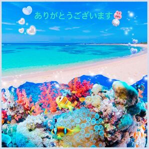 まとめ買いです!いつもありがとうございますo(^-^)o特価★最新リニューアル品!WIQOワイコナリシングクリーム☆パッケージ最新