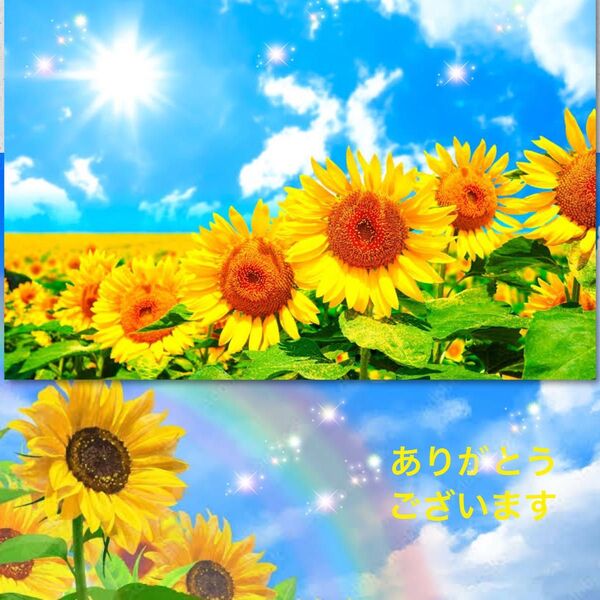 最安です★NEW★エンビロンENVIRON A-ブーストセラム☆美容クリニック、皮膚科専用品☆エンビロン上級者はこちら絶賛してます