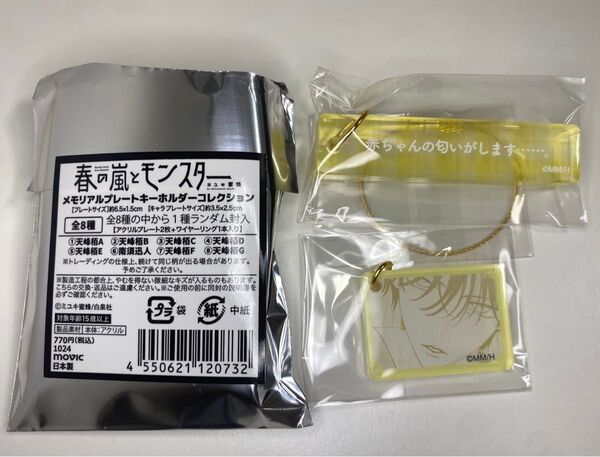 春の嵐とモンスター メモリアルプレートキーホルダーコレクション