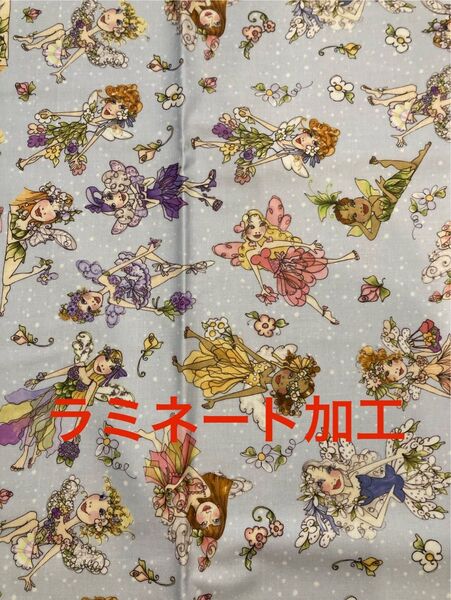 ロラライハリス ラミネート加工 生地 布 ③
