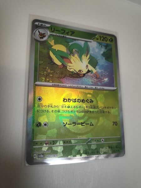 ポケモンカード テラスタルフェスex リーフィア マスターボール ミラー sv8a