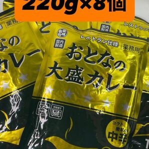 0005 忙しい日に レトルトカレーおとなの大盛りカレー中辛220g 8袋