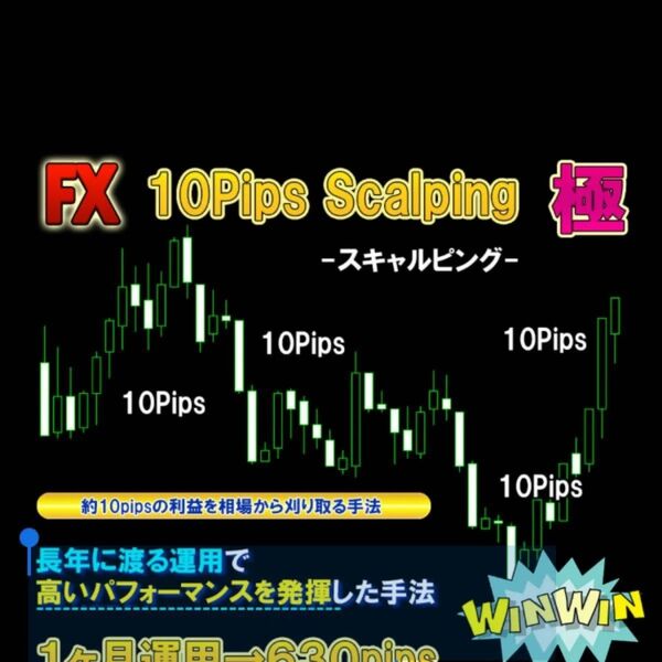 ★FX 10Pips Scalping 極★ 1ヶ月630pips 約10pipsの利益 FX スキャルピング トレード手法 MT