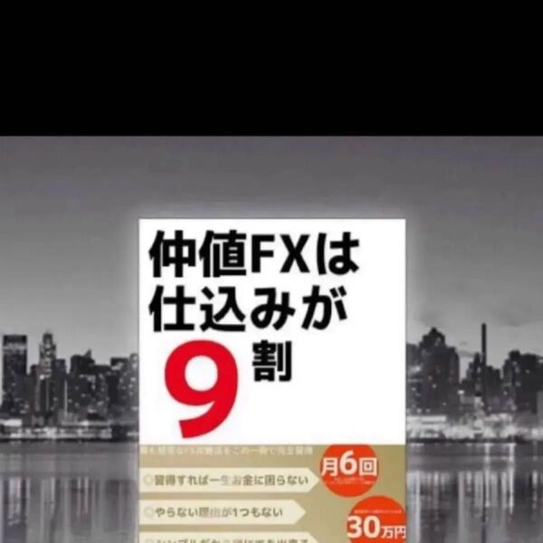 【定価:59,800円】FX 仲値FXは仕込みが9割【完全攻略マニュアル】 USDJPYに特化!!