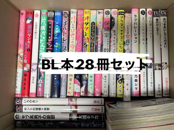 BL本28冊セット バラ売り不可 BLコミック ボーイズラブ 漫画 まとめ売り
