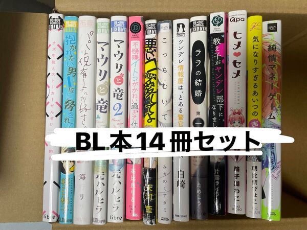 BL本 14冊セットまとめ売り バラ売り不可 BLコミック 漫画 ボーイズラブ