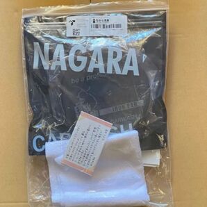 ながら洗車 IRONPAD 新品未使用