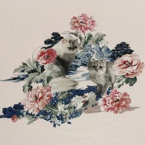 ユニクロ Paul.&Joe 女の子150猫と花柄Tシャツ レディース