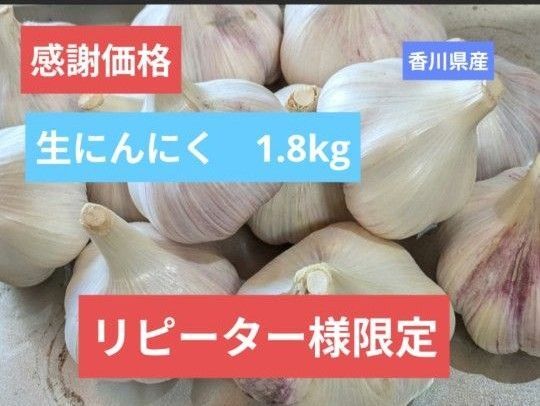 【リピーター様向け特価】香川県産 生にんにく 1.8kg