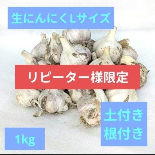 【リピーター様向け】香川県産 Lサイズ 小玉 土付き根付き 約1kg