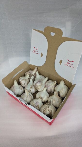 . 香川県産◆大玉生にんにく1kg◆2Lサイズ以上◆採れたて・土付き