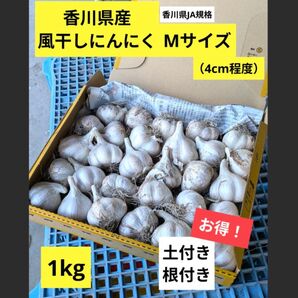 Mサイズ・1kg|農家直送・風干しにんにく(土付き・香川県産)