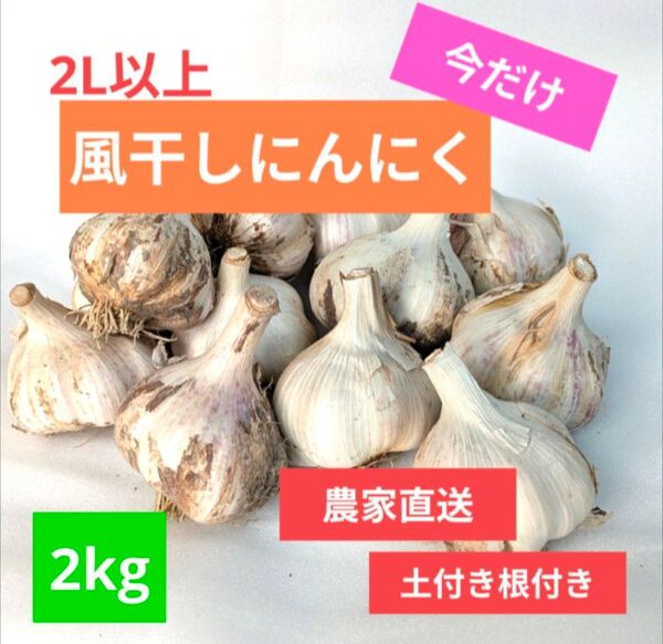 2Lサイズ以上・2kg|農家直送・風干しにんにく(土付き・半乾燥)
