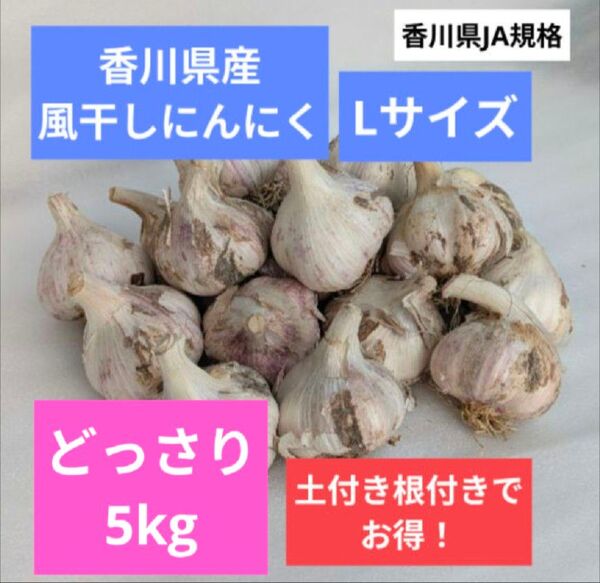 Lサイズ・5kg+おまけ|農家直送・風干しにんにく(半乾燥・土付き・香川県産)