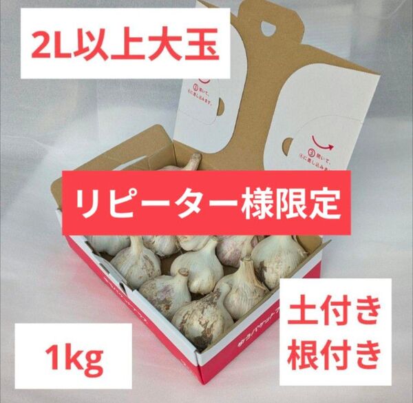 【リピーター様向け】香川県産 生にんにく 2L以上サイズ 大玉 土付き根付き 約1kg