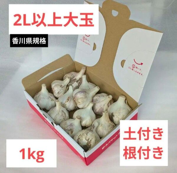 香川県産◆大玉生にんにく1kg◆2Lサイズ以上◆採れたて・土付き◆農家直送!