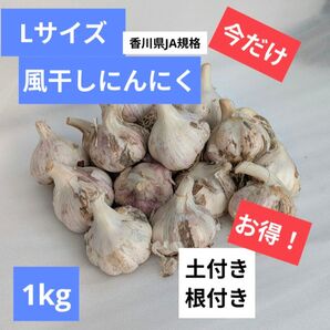 Lサイズ・1kg|農家直送・風干しにんにく(土付き・半乾燥・香川県産)