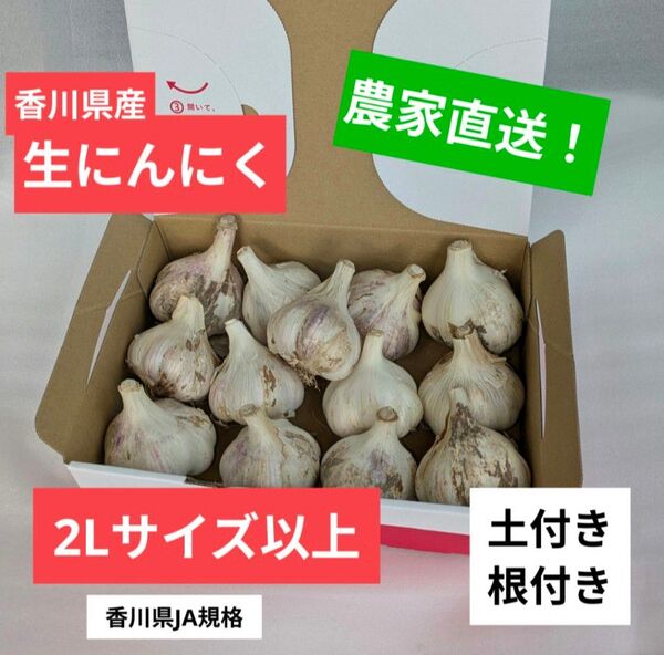 【農家直送・今だけ限定】香川県産 生にんにく 2Lサイズ 1kg|ホクホク食感・土付き根付き