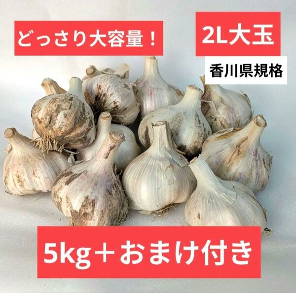 \どっさり!/大玉生にんにく5kg+おまけあり【香川産・土付き】