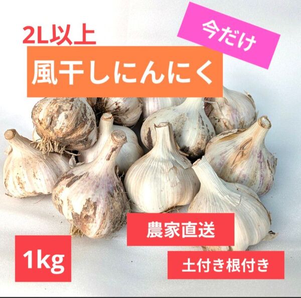 2L以上・1kg|農家直送・風干し半乾燥にんにく(土付き根付き)