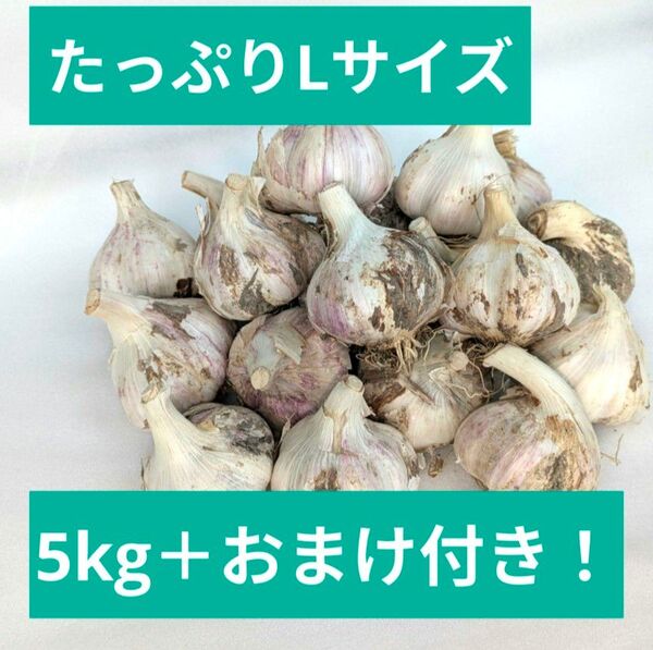 【どっさり!】土付き生にんにく5kg超★香川県産Lサイズ!オマケ付き!農家直送!