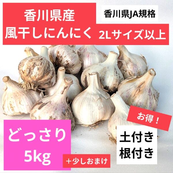 2Lサイズ以上・5kg|農家直送・風干しにんにく(半乾燥・土付き・香川県産)